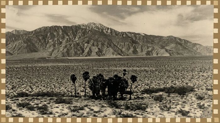 Historic Miracle Hill — desert palms and mountains